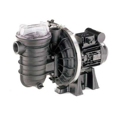 Pompe de filtration piscine Starite 5P2R Pentair