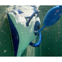 Robot piscine Dolphin Pool Up : Petits bassins et piscines hors-sol