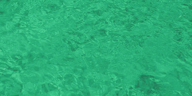 Comment éviter le développement des algues dans la piscine