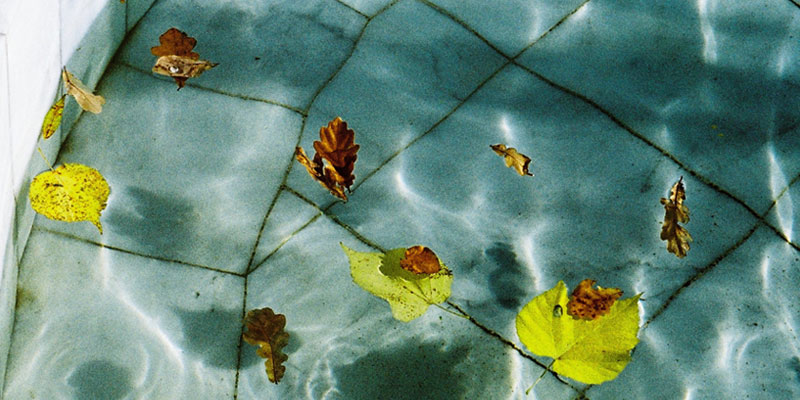 Comment éviter les feuilles mortes dans la piscine en automne ?